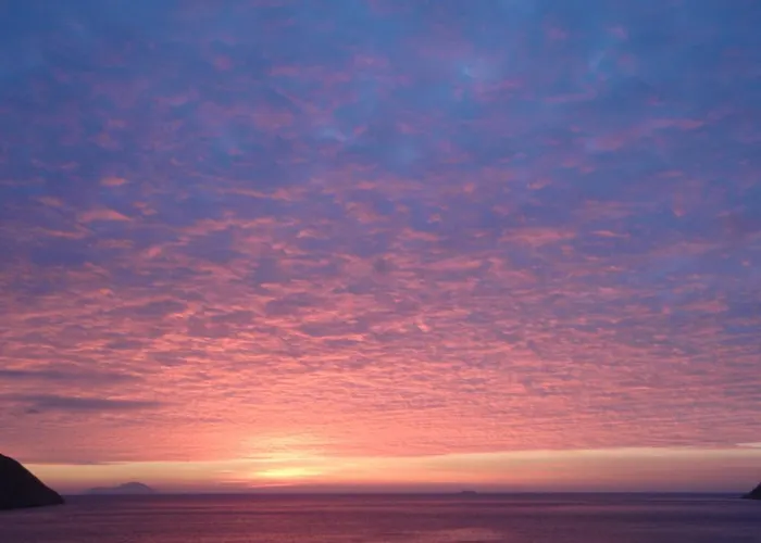 Gæstehus Delfini 3*