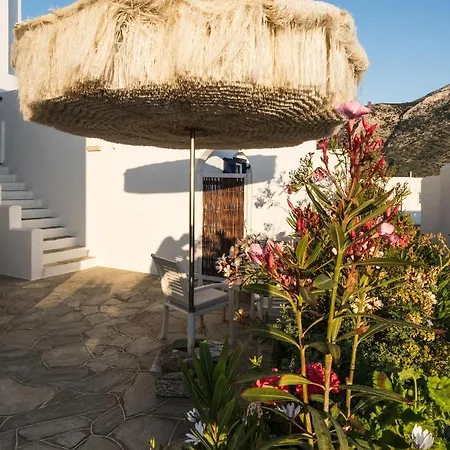 Delfini 3* Kamares (Sifnos)