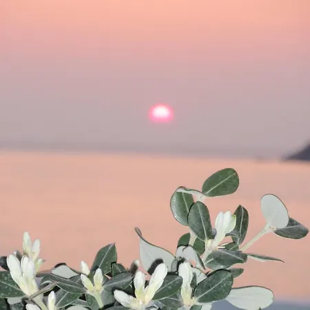 Delfini Kamares (Sifnos)