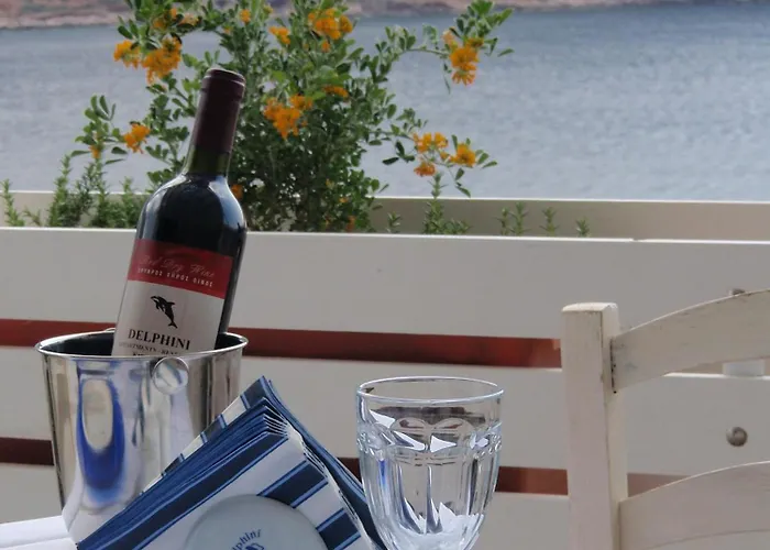 Pensionat Delfini 3*